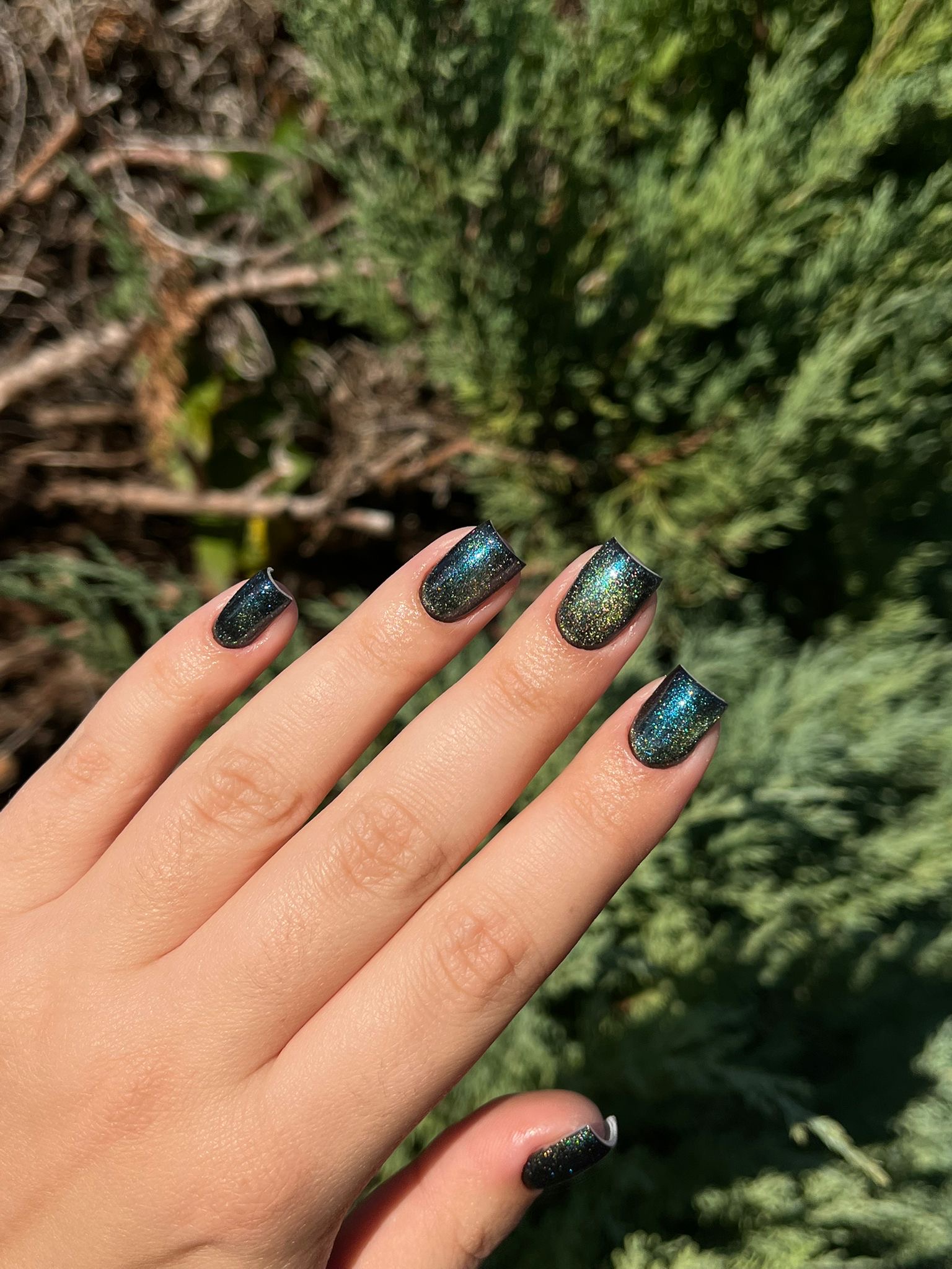 f8a0c8ce-622f-4b70-956c-2d8c9b4dbab7